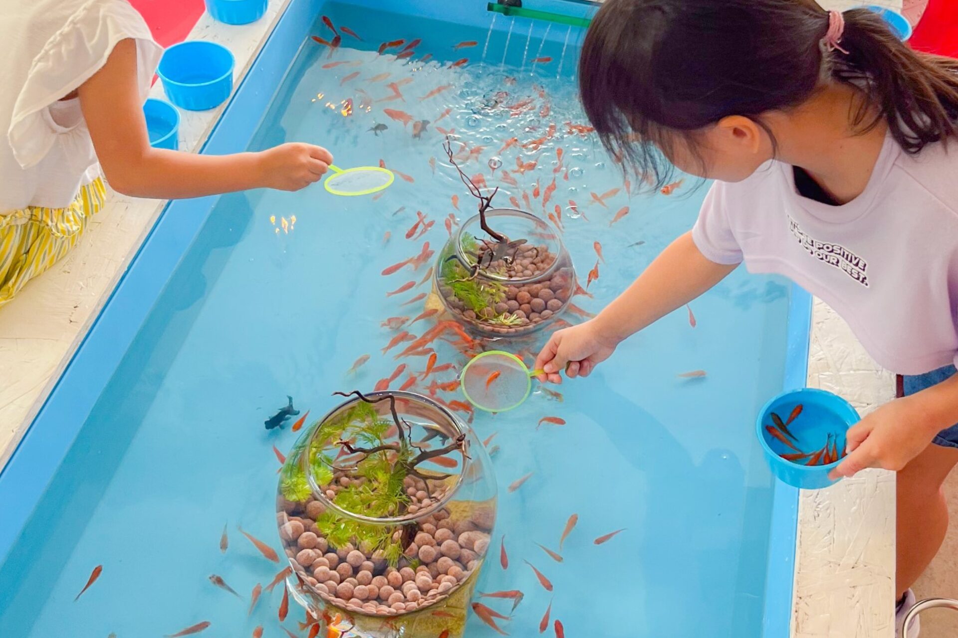 湘南の世界一おしゃれな金魚すくい屋さん 江ノ島金魚